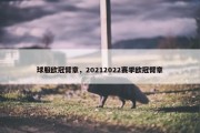 球服欧冠臂章，20212022赛季欧冠臂章
