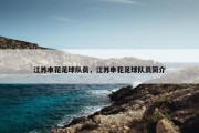 江苏申花足球队员，江苏申花足球队员简介