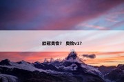 欧冠奥恰？ 奥恰v1？