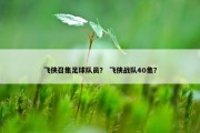 飞侠召集足球队员？ 飞侠战队40集？