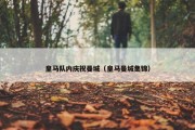 皇马队内庆祝曼城（皇马曼城集锦）