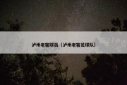 泸州老窖球员（泸州老窖足球队）