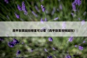 西甲联赛回放哪里可以看（西甲联赛视频回放）
