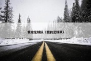 我家足球队（我的足球队）