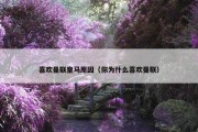喜欢曼联皇马原因（你为什么喜欢曼联）