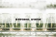 皇马零引援动态，皇马新引援
