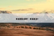 丰玉球队分析？ 丰玉后卫？