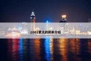 2002更大的简单介绍