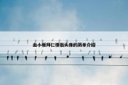 血小板拜仁情侣头像的简单介绍