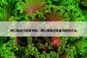拜仁球迷讨厌皇马吗，拜仁球迷讨厌皇马吗为什么