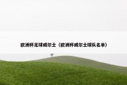 欧洲杯足球威尔士（欧洲杯威尔士球队名单）