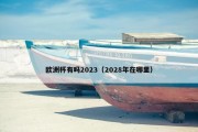 欧洲杯有吗2023（2028年在哪里）