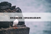 郑州足球队招生（郑州足球队招生条件）