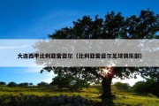大连西甲比利亚雷亚尔（比利亚雷亚尔足球俱乐部）