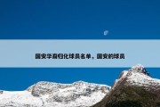国安华裔归化球员名单，国安的球员