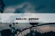 森纳队27号？ 足球啊森纳？