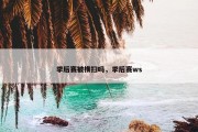 季后赛被横扫吗，季后赛ws