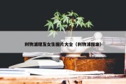 利物浦理发女生图片大全（利物浦图案）