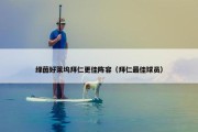 绿茵好莱坞拜仁更佳阵容（拜仁最佳球员）