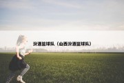 汾酒篮球队（山西汾酒篮球队）