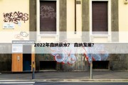 2022年森纳薪水？ 森纳发展？