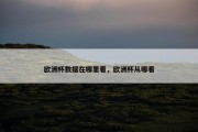 欧洲杯数据在哪里看，欧洲杯从哪看