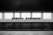 皇马遭受不公？ 皇马受伤偷偷进球？