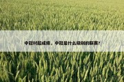 中冠村超成绩，中冠是什么级别的联赛?
