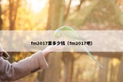 fm2017里多少钱（fm2017吧）