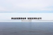 网名欧冠莫非能用（欧冠足球队名字）