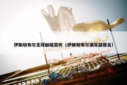 伊斯坦布尔足球触碰奖杯（伊斯坦布尔俱乐部原名）