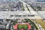 孙兴慜击杀曼城（孙兴慜转会曼联）