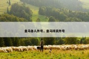 皇马各人外号，皇马球员外号
