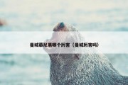 曼城慕尼黑哪个厉害（曼城厉害吗）