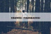 巴西进球球员（巴西进球最多的球员）