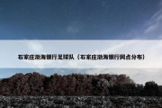 石家庄渤海银行足球队（石家庄渤海银行网点分布）
