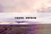 打架足球员，足球打架斗殴