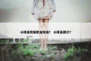 小球员惊呆职业球员？ 小球员简介？
