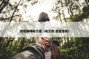 欧冠剧场哈兰德（哈兰德 欧冠金靴）
