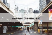 森纳中国商店（森纳中国商店电话）