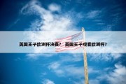 英国王子欧洲杯决赛？ 英国王子观看欧洲杯？