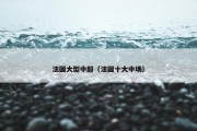 法国大型中超（法国十大中场）