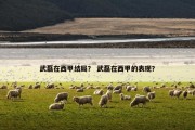 武磊在西甲结局？ 武磊在西甲的表现？