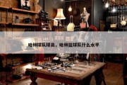 哈林球队球员，哈林篮球队什么水平