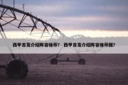 西甲首发介绍阵容推荐？ 西甲首发介绍阵容推荐图？
