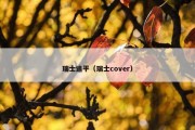 瑞士追平（瑞士cover）