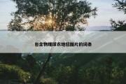 包含物理球衣地毯图片的词条