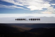 小猪曼联拜仁，小猪曼联号码