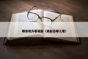 哪些地方看英超（英超去哪儿看）