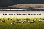 奥特曼中哪些超兽（奥特曼里面的超兽有哪些图片加名字）